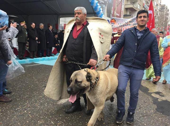 16683875_10208278822356724_2538561941921030679_n