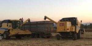 Mısır Biçim Fiyatları Belli Oldu!