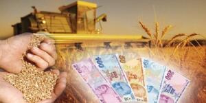 Çifçiyi Yakından İlgilendiren Haber! “Tarımsal Desteklemeler Belli Oldu!”