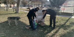 Afşin Belediyesi Sokak Hayvanlarını Unutmadı!