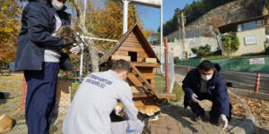 Sokak Hayvanları Büyükşehir’e Emanet