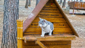 2 0 300x169 Büyükşehir’de Yılın Son Meclis Toplantısı Gerçekleştirildi!