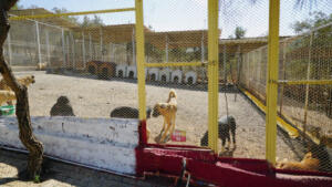 5 300x169 Büyükşehir’de Yılın Son Meclis Toplantısı Gerçekleştirildi!