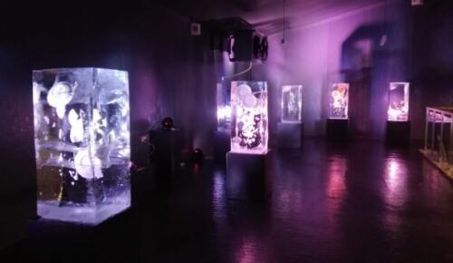 Buz’u sanata dönüştürdüler