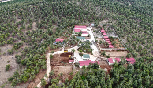 Sokak Hayvanları Rehabilitasyon Merkezi Yenileniyor