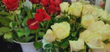 Sevgililer Gününde Bahar Çiçekçilik Hizmetinizde!