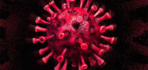 Türkiye’de son 24 saatte 7.795 koronavirüs vakası tespit edildi