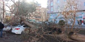 Afşin’de Şiddetli Fırtına 2 Otomobile Zarar Verdi