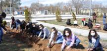 Başkan Güven ve Fen Lisesi Öğrencileri Fidan Dikti!