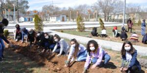 Başkan Güven ve Fen Lisesi Öğrencileri Fidan Dikti!