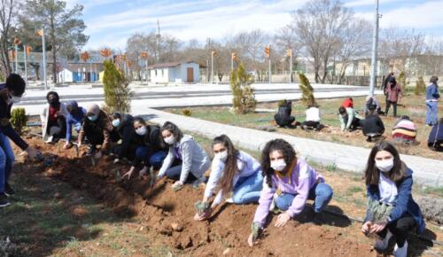 Başkan Güven ve Fen Lisesi Öğrencileri Fidan Dikti!