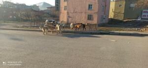 IMG 20210402 155322 438 300x139 Büyükşehir’de Yılın Son Meclis Toplantısı Gerçekleştirildi!