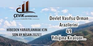 Orman Arazileri Ağaçlandırma Projeleriyle Kiralanıyor!