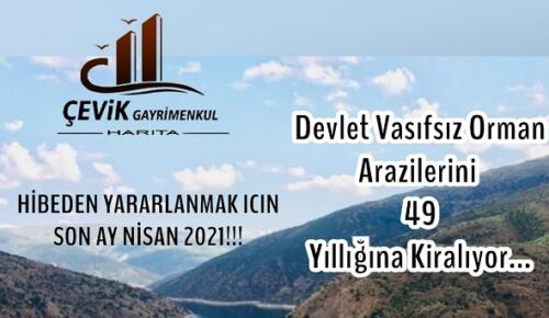 Orman Arazileri Ağaçlandırma Projeleriyle Kiralanıyor!