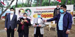 Büyükşehir 35 Bin Canın Evi Oldu