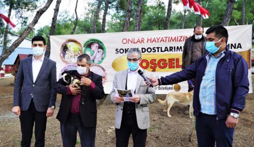 Büyükşehir 35 Bin Canın Evi Oldu