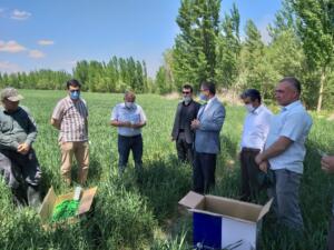 187574703 530469594798112 1223675549004843750 n 300x225 Büyükşehir’de Yılın Son Meclis Toplantısı Gerçekleştirildi!