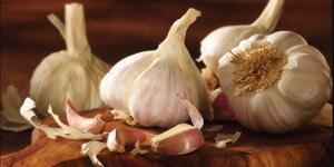 Koçovası Sarımsağı Tescillendi