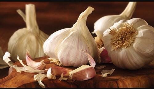 Koçovası Sarımsağı Tescillendi