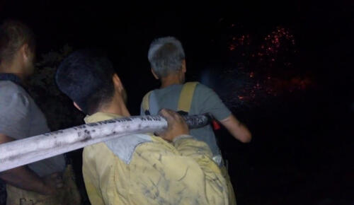 MSB: ‘Mehmetçik, yangın söndürme çalışmalarını aralıksız sürdürüyor’