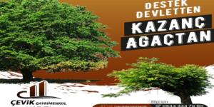 Devlet Vasıfsız Orman Arazilerini 49 Yıllığına Kiralıyor! Son Gün 30 Eylül 2021