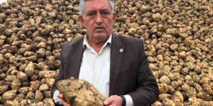 Şekerde fiyat oyununu bozacak gelişme